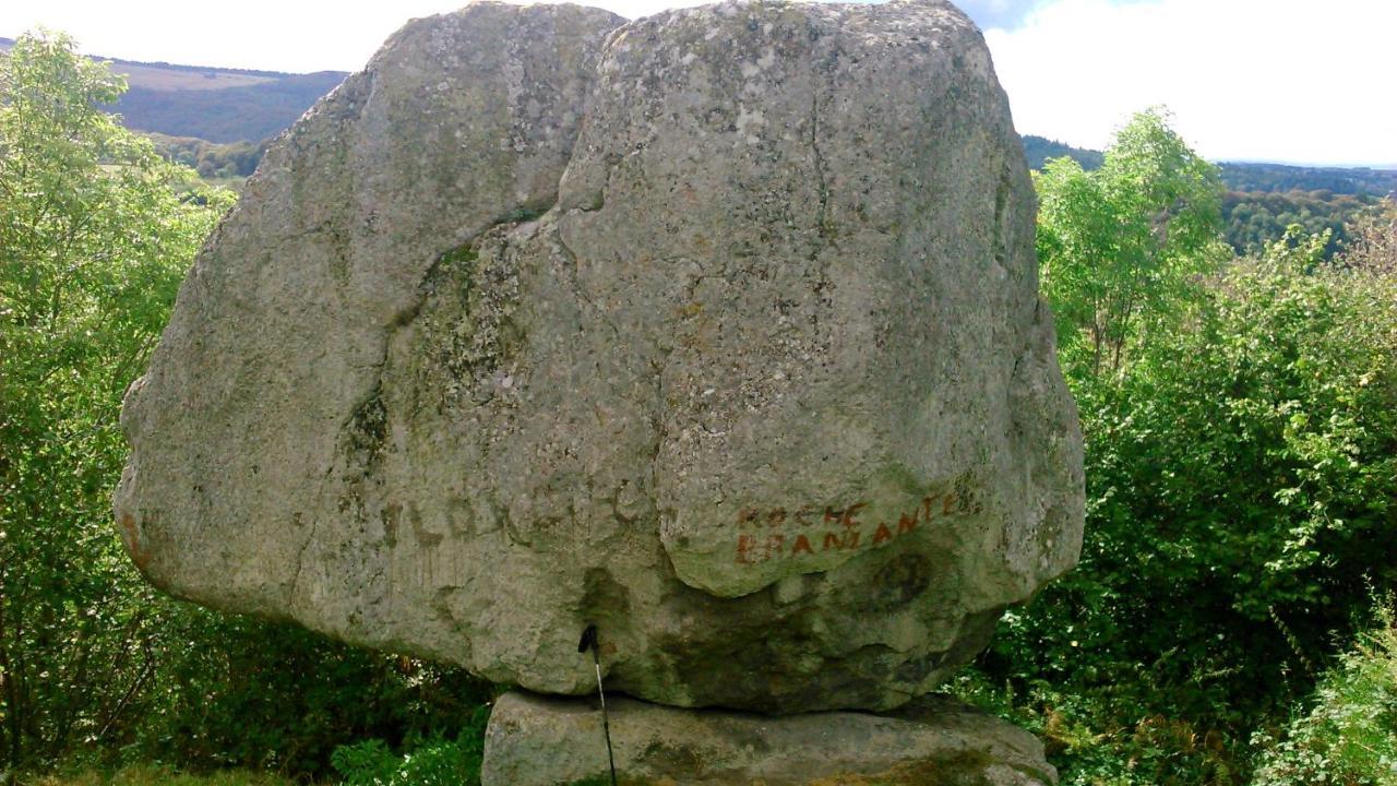 Coquelicot, Entre Volcans D Auvergne Et Sancy, Orcival. Eksteriør billede